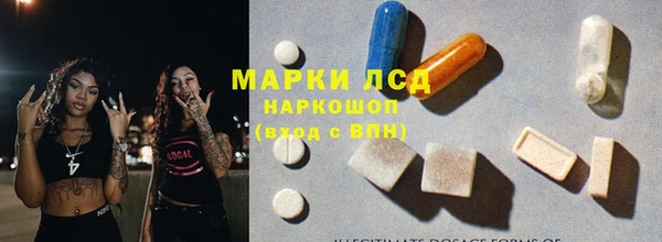 амф Дмитриев