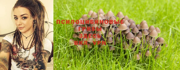 амф Дмитриев