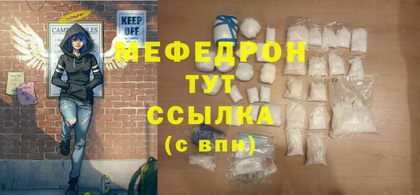 СК Ельня